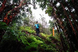 BIB: 
                            <button type="button" onclick="openModal(26201774)" class="btn btn-primary btn-sm float-right btn-popup" data-toggle="modal" data-target=".modal-high-quality">
                        <i class="fas fa-shopping-cart"></i> Add to Cart
                    </button>
                                            <button type="button" onclick="isThisMe(26201774, true)" class="btn btn-success btn-sm float-right btn-popup btn-isme hidden" data-toggle="tooltip" data-placement="bottom" title="นี่คือรูปของคุณใช่ไหม คลิกที่นี่เพื่อเอาเข้าอัลบั้ม">
                        <i class="fas fa-plus"></i> Add to album
                    </button>
                    <button type="button" onclick="isThisMe(26201774, false)" class="btn btn-warning btn-sm float-right btn-popup btn-isnotme hidden">
                        <i class="fas fa-ban"></i> Remove from album
                    </button>